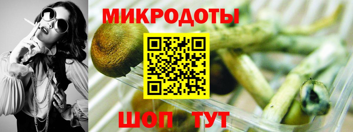 Самара  Псилоцибиновые грибы ЛСД  Вход с VPN  Галлюциногенные грибы мухоморы 